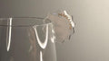 Personalized acrylic drink tag charm for champagne glasses